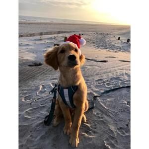 Meet your Posher, Maryann